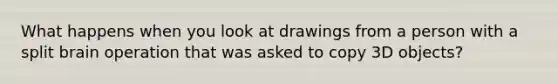 What happens when you look at drawings from a person with a split brain operation that was asked to copy 3D objects?