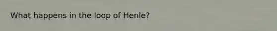 What happens in the loop of Henle?