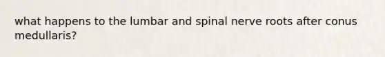 what happens to the lumbar and spinal nerve roots after conus medullaris?