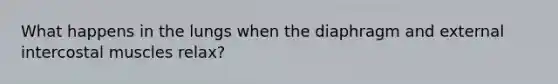 What happens in the lungs when the diaphragm and external intercostal muscles relax?