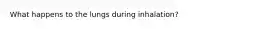 What happens to the lungs during inhalation?