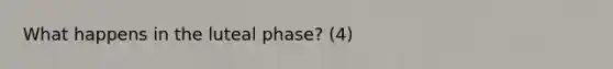 What happens in the luteal phase? (4)