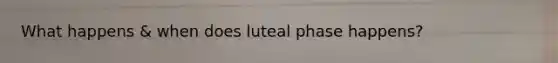 What happens & when does luteal phase happens?