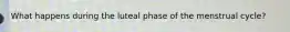What happens during the luteal phase of the menstrual cycle?