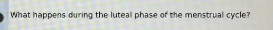 What happens during the luteal phase of the menstrual cycle?