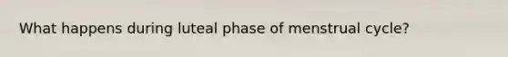 What happens during luteal phase of menstrual cycle?