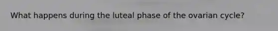 What happens during the luteal phase of the ovarian cycle?