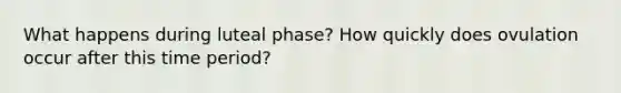 What happens during luteal phase? How quickly does ovulation occur after this time period?