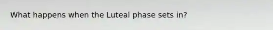 What happens when the Luteal phase sets in?