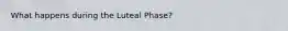 What happens during the Luteal Phase?