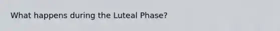 What happens during the Luteal Phase?