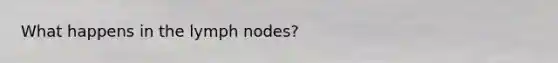 What happens in the lymph nodes?