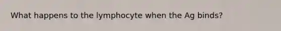 What happens to the lymphocyte when the Ag binds?