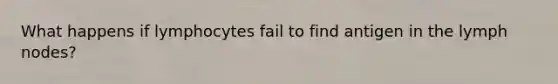What happens if lymphocytes fail to find antigen in the lymph nodes?