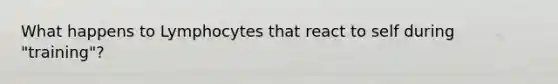 What happens to Lymphocytes that react to self during "training"?