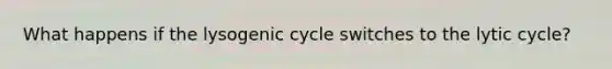 What happens if the lysogenic cycle switches to the lytic cycle?