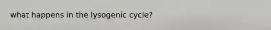 what happens in the lysogenic cycle?