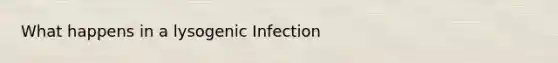 What happens in a lysogenic Infection