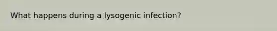 What happens during a lysogenic infection?