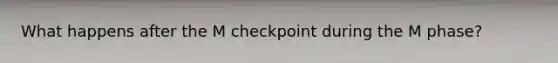 What happens after the M checkpoint during the M phase?