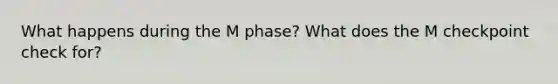 What happens during the M phase? What does the M checkpoint check for?