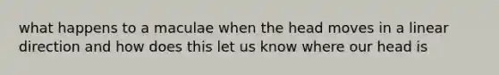 what happens to a maculae when the head moves in a linear direction and how does this let us know where our head is