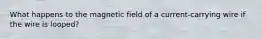What happens to the magnetic field of a current-carrying wire if the wire is looped?