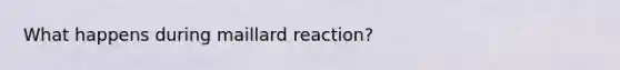 What happens during maillard reaction?