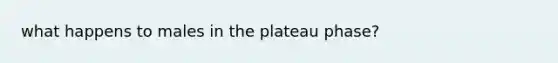 what happens to males in the plateau phase?