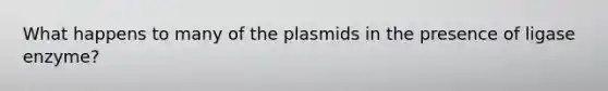 What happens to many of the plasmids in the presence of ligase enzyme?