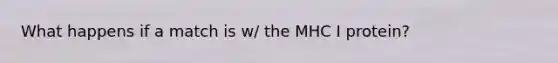 What happens if a match is w/ the MHC I protein?
