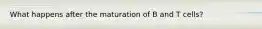 What happens after the maturation of B and T cells?