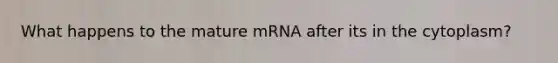 What happens to the mature mRNA after its in the cytoplasm?