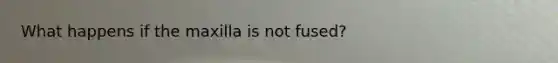 What happens if the maxilla is not fused?