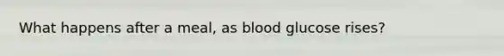What happens after a meal, as blood glucose rises?