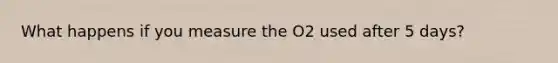 What happens if you measure the O2 used after 5 days?