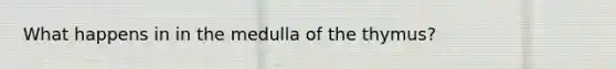 What happens in in the medulla of the thymus?