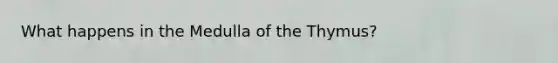 What happens in the Medulla of the Thymus?