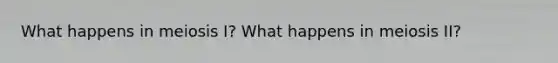 What happens in meiosis I? What happens in meiosis II?
