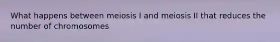 What happens between meiosis I and meiosis II that reduces the number of chromosomes