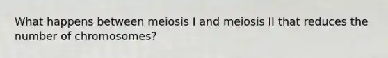 What happens between meiosis I and meiosis II that reduces the number of chromosomes?