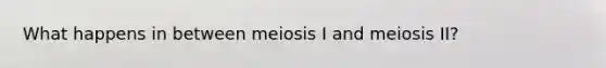 What happens in between meiosis I and meiosis II?