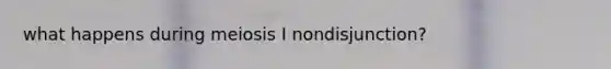 what happens during meiosis I nondisjunction?