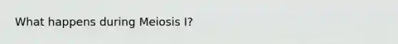 What happens during Meiosis I?