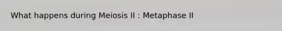 What happens during Meiosis II : Metaphase II