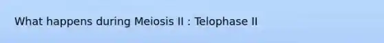 What happens during <a href='https://www.questionai.com/knowledge/krlvDMYQWR-meiosis-i' class='anchor-knowledge'>meiosis i</a>I : Telophase II