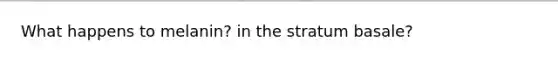 What happens to melanin? in the stratum basale?