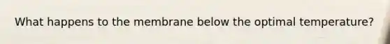 What happens to the membrane below the optimal temperature?