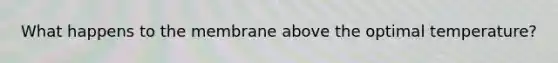 What happens to the membrane above the optimal temperature?