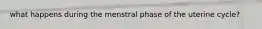 what happens during the menstral phase of the uterine cycle?